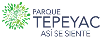 Client Logo-7